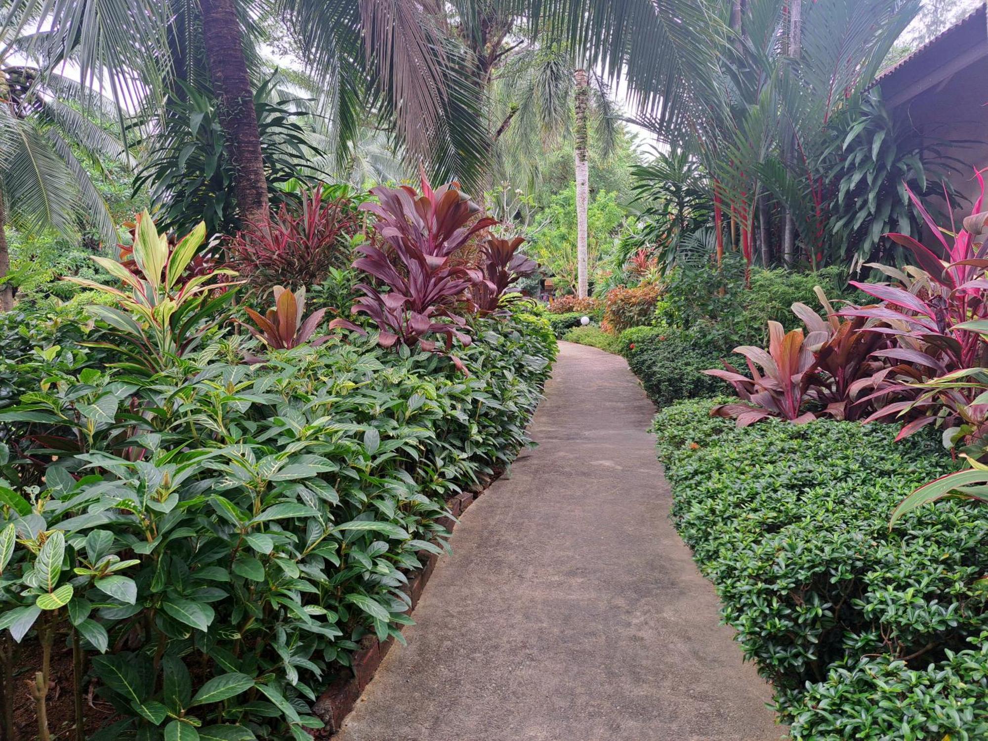 Jasmin Resort - Sha Plus Khao Lak Exteriér fotografie