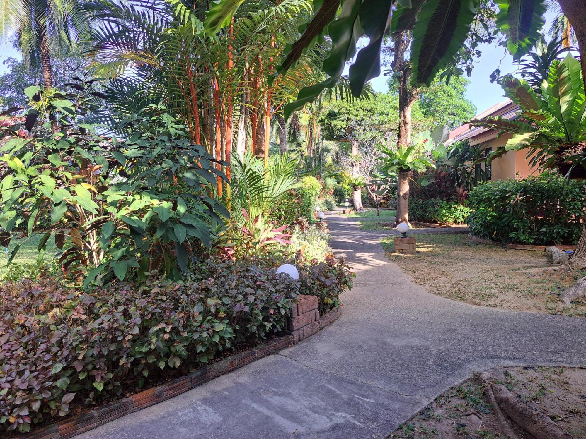 Jasmin Resort - Sha Plus Khao Lak Pokoj fotografie