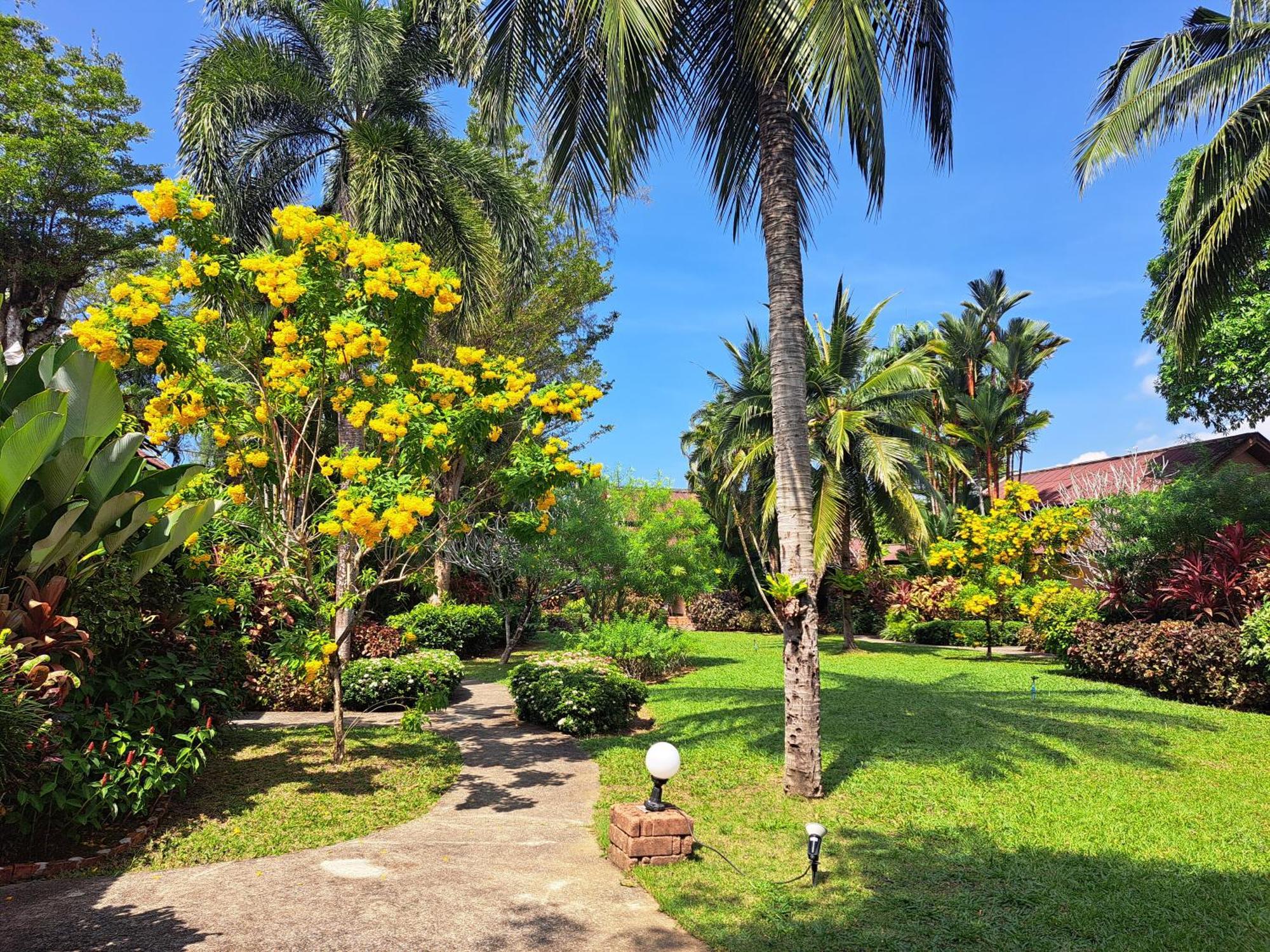 Jasmin Resort - Sha Plus Khao Lak Exteriér fotografie