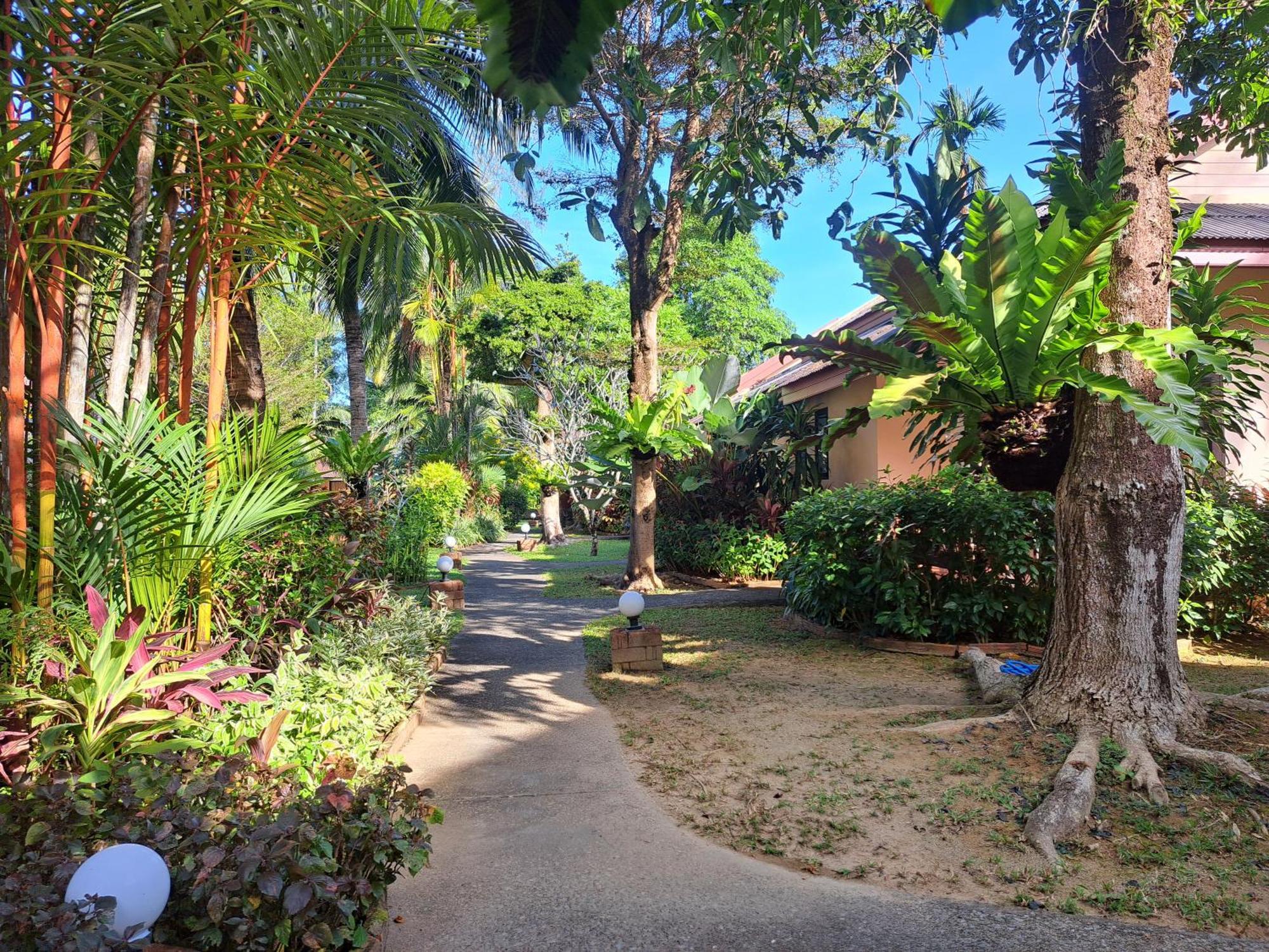 Jasmin Resort - Sha Plus Khao Lak Pokoj fotografie