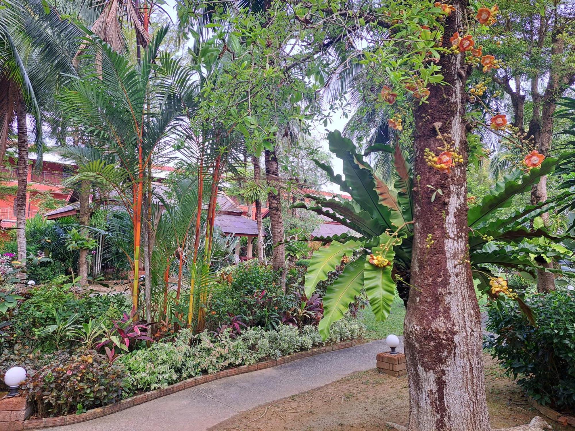 Jasmin Resort - Sha Plus Khao Lak Exteriér fotografie